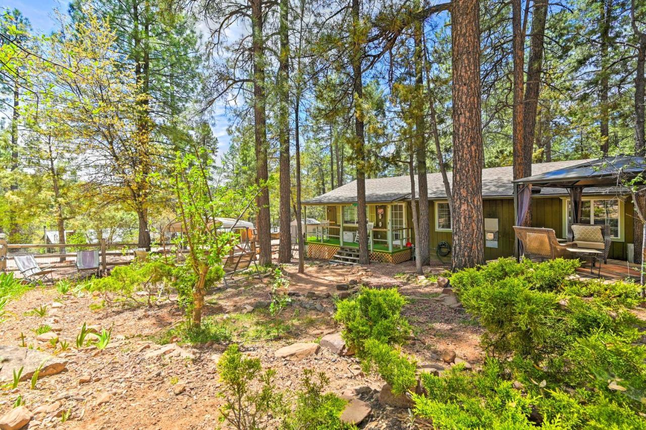 Pine Cabin In The Woods With Yard And Grill! Екстериор снимка